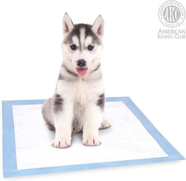 Kennel Club Scented Puppy Training Pads with Ultra Absorbent Quick Dry Gel - Image 3