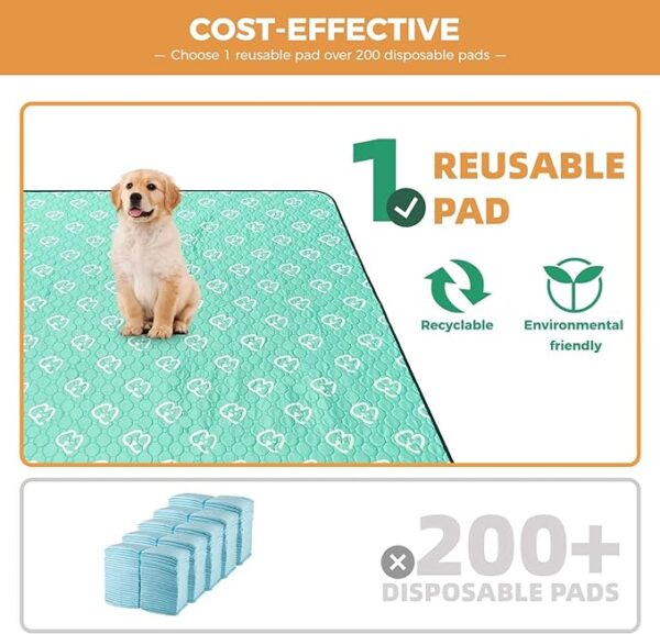 FXW Washable Pee Pads for Dogs - Image 3